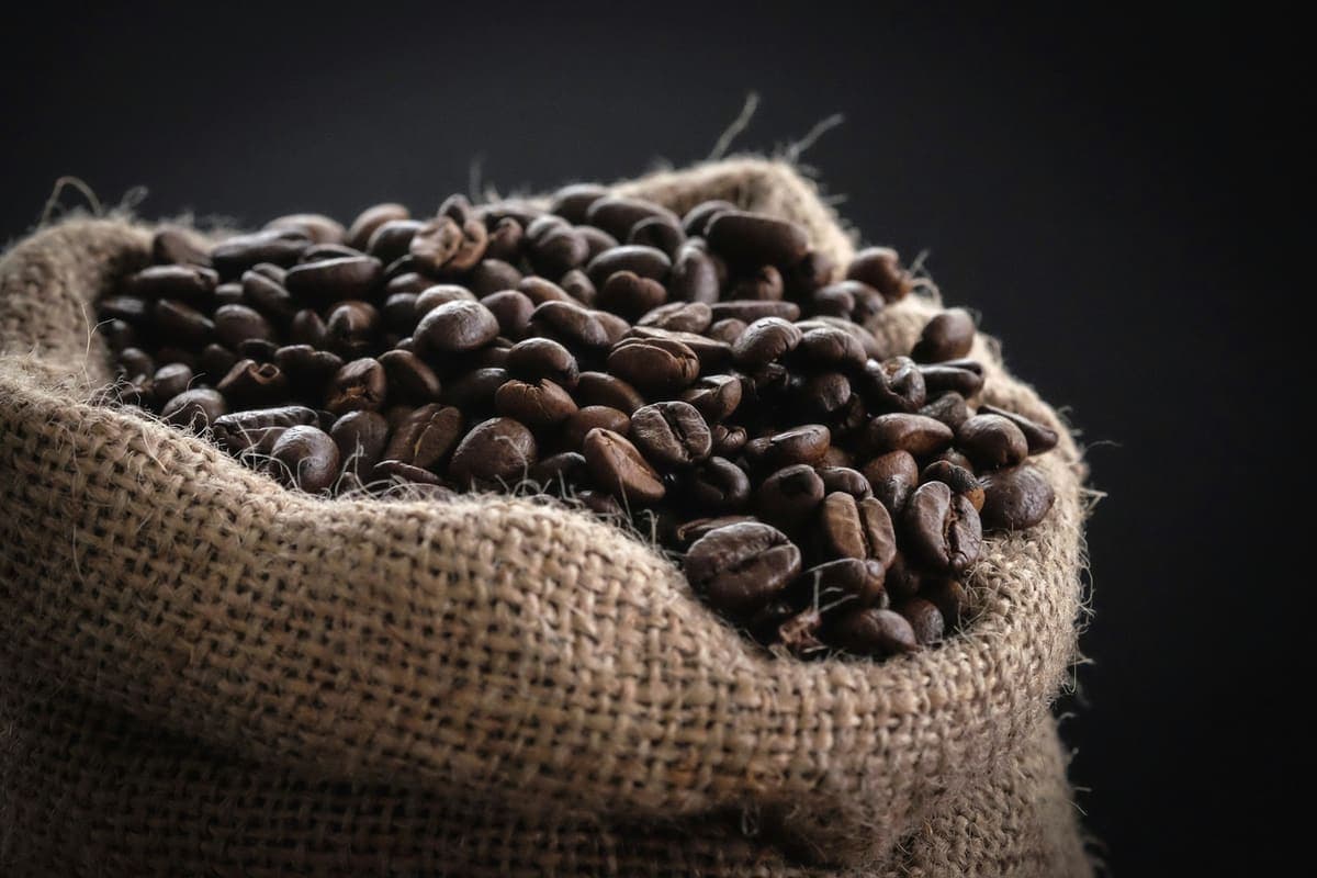 Plantation de café Palfré